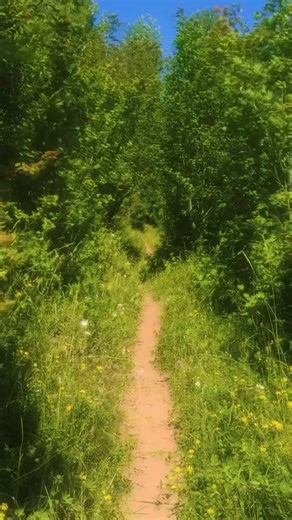 When did you realize that you were the only one growing up? #reddit #redditfroggy #stories #storytelling