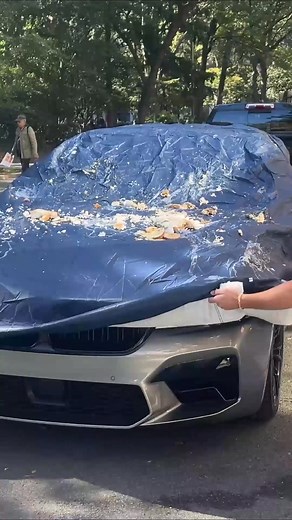  No studio, no script — just people smashing cake, eggs and golf balls on a SealSkin car cover to see if it actually works. The cover wiped clean in seconds. The car? Perfectly untouched! ️ Comes with a Lifetime Warranty  15% OFF with code 15OFF | Seal Skin Covers | Facebook