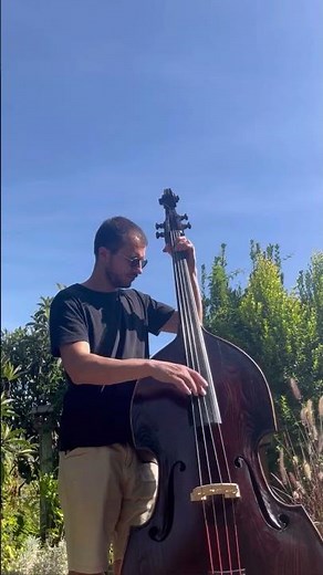 Upright Bass Percussion Groove Melodharmony No.5