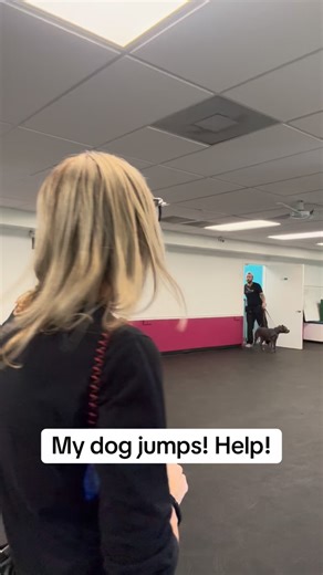 13K views · 115 reactions | #fyp #dogtraining #dogtrainingtips | Dynamite Dog Training | Facebook