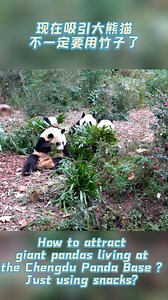 46K views · 16K reactions | Why do nannies always say “Guo Lai” to...