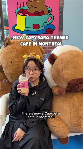Capybara Cafe: A Unique Cafe Experience in Montreal