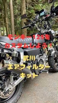 Customizing the Monkey 125! Installing the SP Takegawa Air Filter Kit (Black Element) and the Cat...