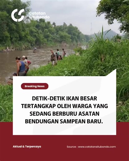 Detik-Detik Penangkapan Ikan Besar di Sampeyan Baru