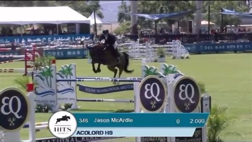 16 reactions | Outstanding result for a Hyperion horse with @jmcardle79 in the 1,35m 5k jumper class at HITS Del Mar classic. Sold to a wonderful client in CA and developed by Jason. Congratulations on your superb results! #hyperionstudsales #hyperionstudusa #hyperionstudeurope @gmohr100 @reecemiller242 @alexander_liebe_pferdesport | Hyperion Stud | Facebook