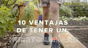Huerto urbano: qué es, qué ventajas tiene y cómo iniciarte y cuidar los cultivos más sencillos