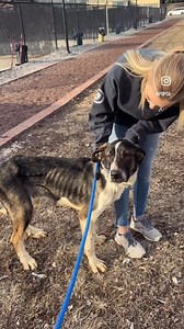 31K views · 2.3K reactions | Despite the suffering they experienced...