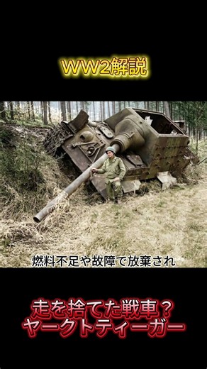 走を捨てた戦車？ヤークトティーガーを解説 #教養 #歴史 #解説 #automobile #history #戦車 #雑学 #ドイツ軍 #第二次世界大戦 #ww2