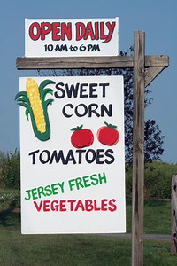 Examples of Vertically Integrated Companies