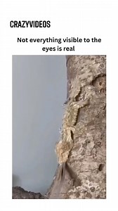 First one was unreal 😮 | Crazy Videos