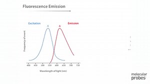 Molecular Probes Tutorial Series— Anatomy of Fluorescence Spectra