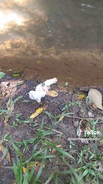 New Magic #Foryou #Dance #alien | me as a baby