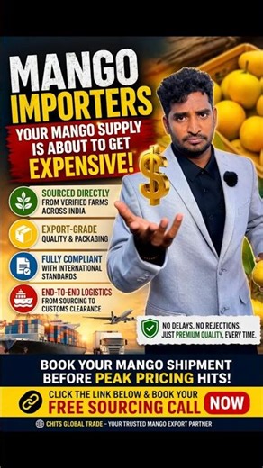Mango Prices Are Rising Importers Must Act NOW | Secure Supply Before Peak Season