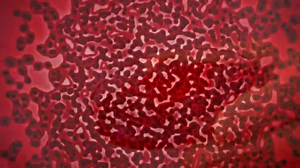 "Hunting the Nightmare Bacteria" — Preview | FRONTLINE