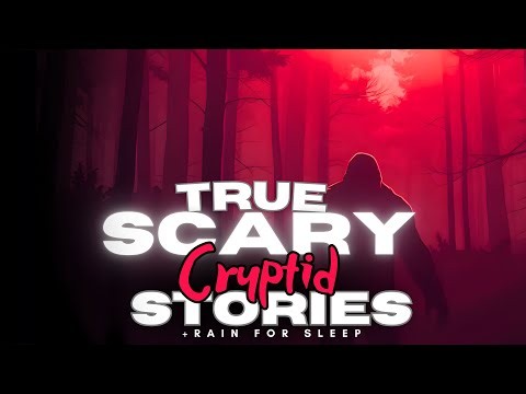 4 TRUE Scary Cryptid Stories you’ve never heard + rain for sleep 💤 NO ADS, dark screen