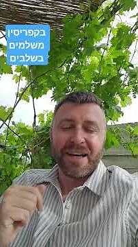בקפריסין לא חובה לשלם את כול הסכום ישר...הפשר לשלם בשלבים #ישראל #קפריסין #פאפוס #לימסול #נדלן
