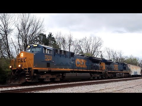 CSX Northbound Decatur Local L848 Brentwood, TN 03/09/26
