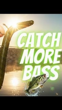 Mastering the Wacky Rig for Beginners