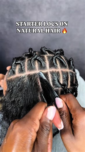 Starter Locs on Natural Hair: A Protective Hairstyle Guide