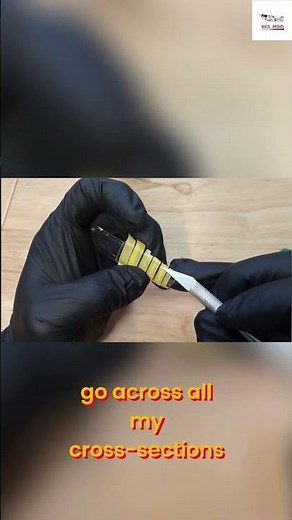 DIY Canopy Masking: Easy Guide Using Tamiya Tape! #shorts