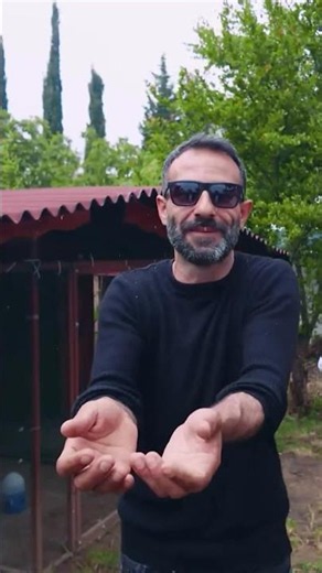 Şampiyon Olan Kuşları Ben Veriyorum! #oyunkuşu #taklacıgüvercin #kümes