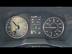 mpg and trip reset