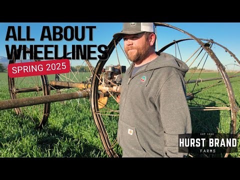 How We Irrigate Crops in the Idaho Desert | Wheel-Line Farming Explained