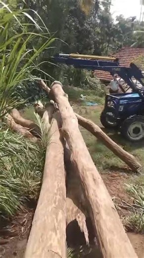 Biggest wood pulling 👌 New Holland 5510 4WD #tractorpulling #newholland
