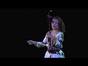 Erhu performance: Serenade in Shanghai