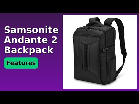 REVIEW (2026): Samsonite Andante 2 Backpack. Features.