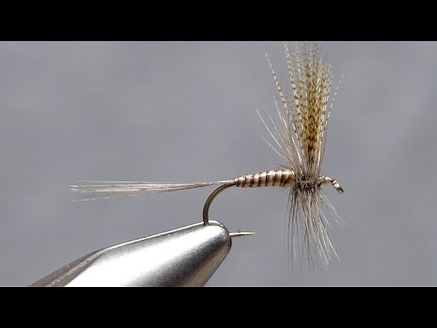 Quill Gordon Dry Fly