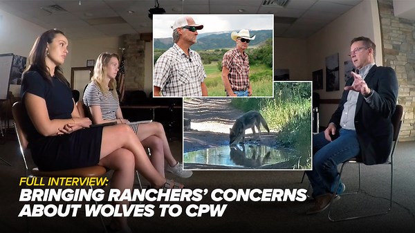 Full interview: Denver7 brings Pitkin County ranchers' questions about wolves to CPW director