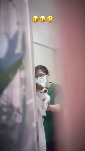 Mundo Pet Animal on Instagram