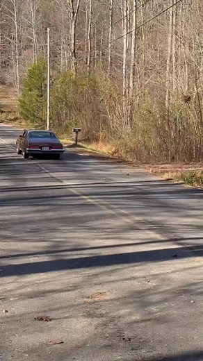 14K views · 280 reactions | The 1974 GTOs first time on the road in over 34 years | Ray Catoe | Facebook