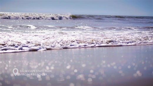 122K views · 541 reactions | The kind of white noise you don’t need an app for. Just you + the ocean + VB. | Visit Virginia Beach | Facebook