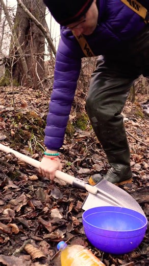 I Found CRAZY Amount of GOLD in a Mountain Stream! 🪙⛰️🐕