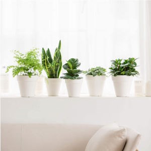 Wholesale Bulk Custom Planters Cheap Stackable Flower Pots Eco Friendly Vase