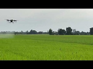 Large 35 Litre Spraying Drone Trials on Rice Field