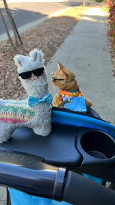 72K views · 4.7K reactions | We were so grateful to participate in...