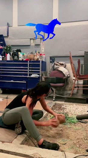 Horse gallops using coconuts as in Monty Python #reelfoleysound #foleytiktok #foley #asmr #fyp #sound #horseglallop #horse #gallop #coconut #hooves