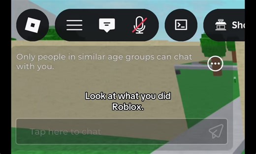 Concerns Over Roblox Chat Update and Age Verification