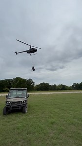 374K views · 494 reactions | First class ride for these blue wildebeest cows! | Spring Creek Outdoors, LLC | Facebook