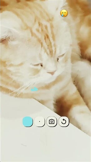 26 กุมภาพันธ์ 2569