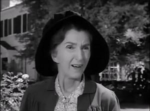 My Three Sons Season 1 Episode 2 (vidconverter.co)