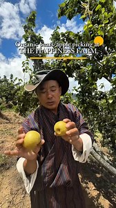 Apple and pear picking at The Happiness Farm with Khandrola was pure joy! Harvesting crisp apples and ripe pears straight from the trees felt deeply rewarding. I’m grateful to Mr. Dorji and his family for their inspiring work blending agrotourism with agro-sufficiency, they’re nurturing Bhutan’s future. Their farm in Punakha and Paro grows more than 200 varieties of fruits. Individuals like Mr. Dorji and his wonderful family are truly the heart of Bhutan's progress. Seeing their dedication first