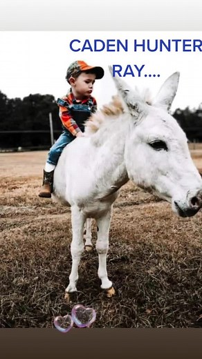 Brandy Ray (@brandyray.92)’s videos with Carrying Your Love - David Morris