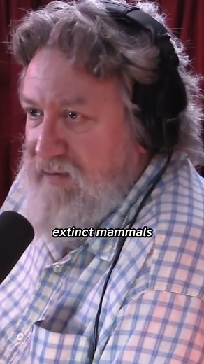 @therandallcarlson on Instagram: "During the late Pleistocene, roughly 120 species of massive mammals, including mammoths and saber-toothed cats, went extinct. Fossil evidence shows a sudden die-off between 11,000 and 13,000 years ago. The long-standing overkill theory suggests Paleo-Indian hunters were responsible, but is that the full story?"
