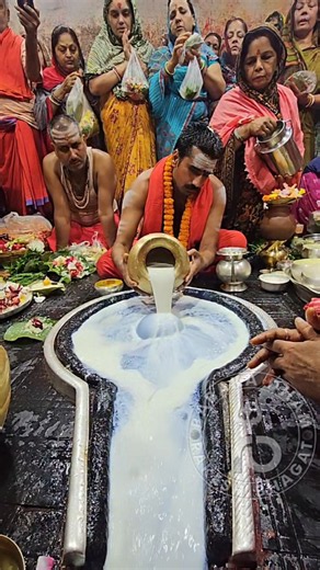 Jai shiv Jai baba baidyanath🙏🕉#shorts#ज्योतिर्लिंग#बाबाधाम#आज का प्रात: कालीन का दिव्य दर्शन🙏23/5/26