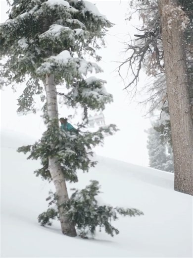 4.2K views · 14 reactions | Sundance Mountain Resort on Reels | Facebook