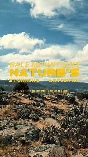 Exploring Ethiopia's Bale Mountains Biodiversity